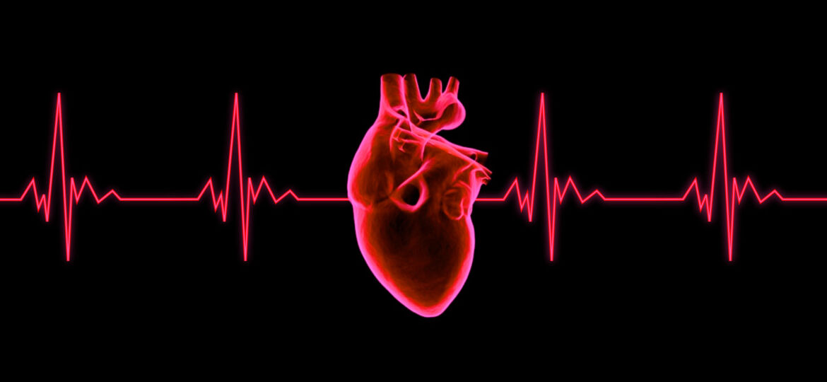 Beating Heart - ECG Graph